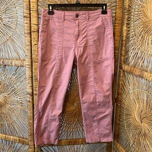 Pistola Dusty Rose Colored Cropped Chinos - Size 30